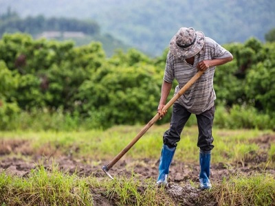 Agricultor de Norte de Santander